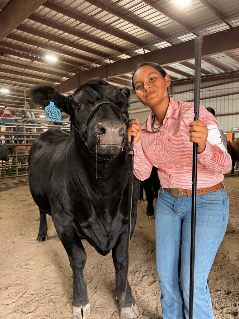 Ambar--and her steer.